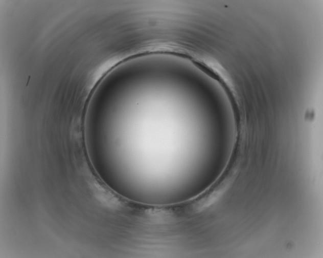 X0000092011089200709061527