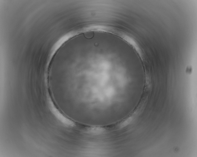 X0000092011090200709061527