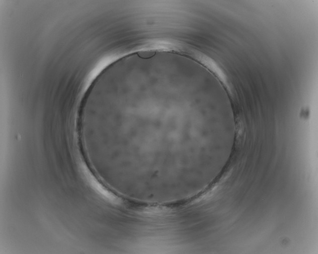 X0000092011091200709061527