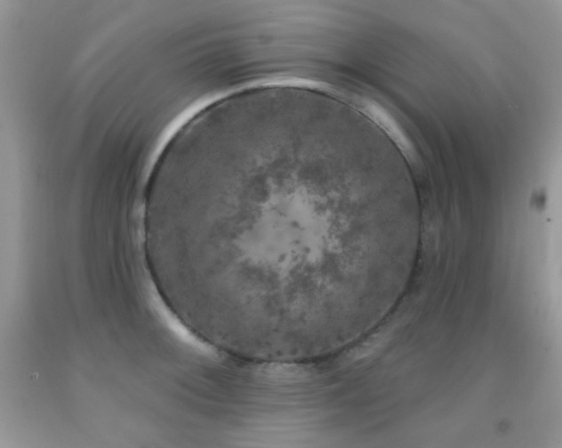 X0000092011092200709061527