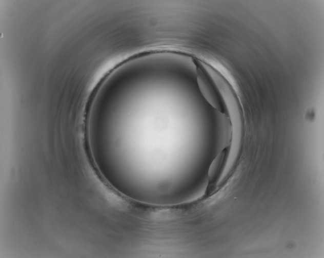 X0000092011093200709061527