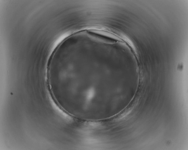 X0000092011095200709061527