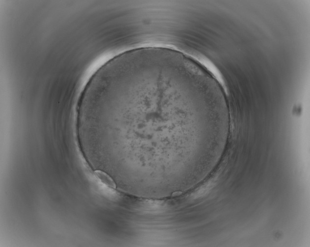 X0000092011096200709061527