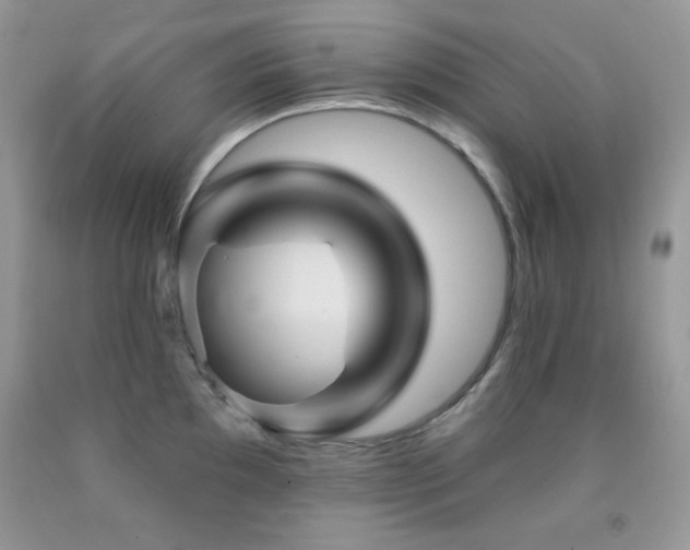 X0000092011097200709061527