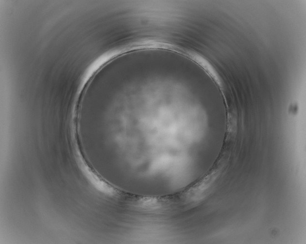 X0000092011098200709061527