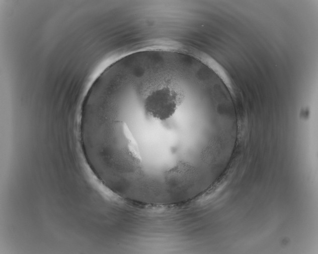 X0000092011099200709061527