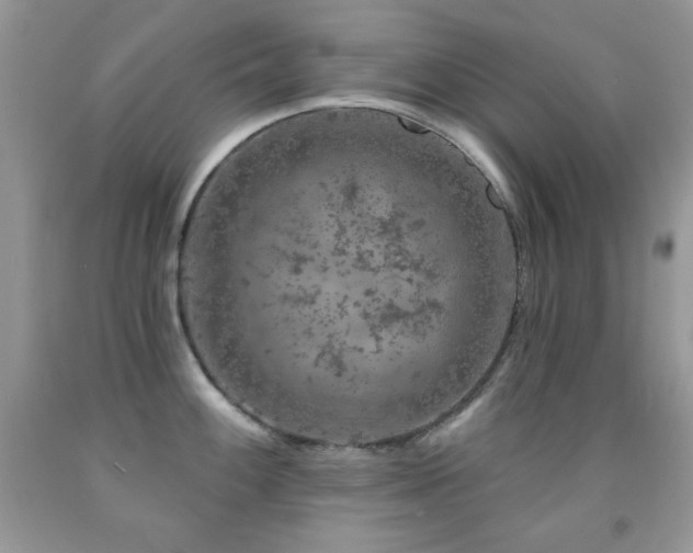 X0000092011100200709061527