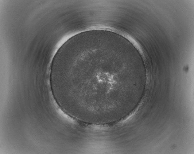 X0000092011102200709061527