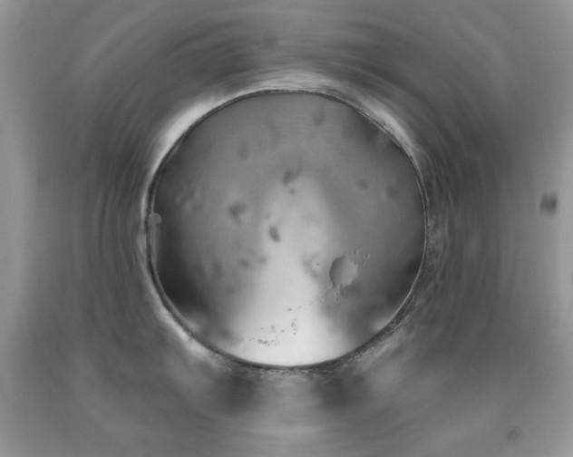 X0000092011103200709061527