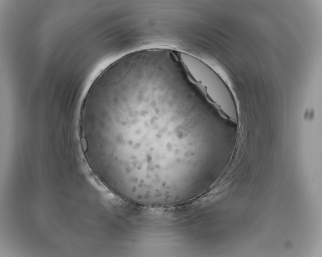 X0000092011104200709061527