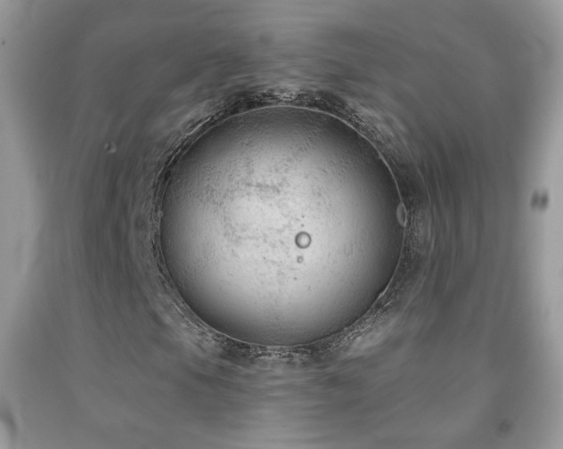 X0000092011105200709061526