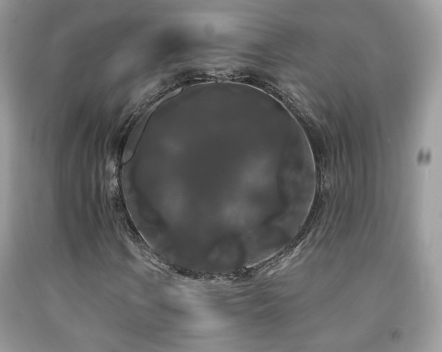 X0000092011106200709061526