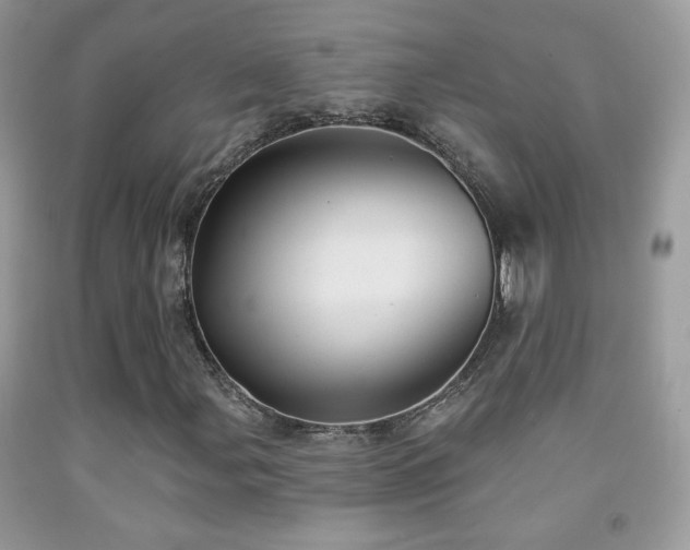 X0000092011107200709061526