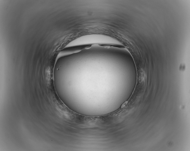 X0000092011108200709061526