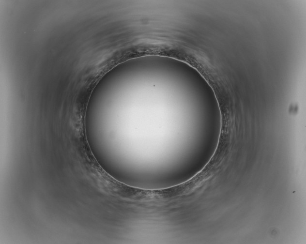 X0000092011109200709061526