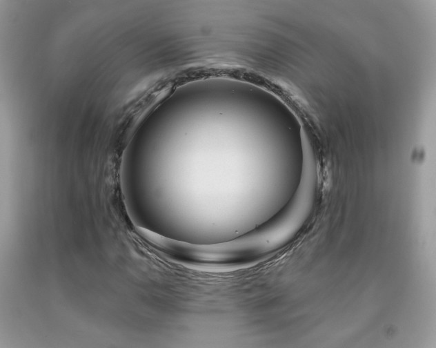 X0000092011110200709061526