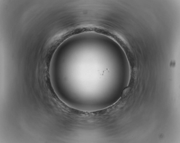 X0000092011111200709061526