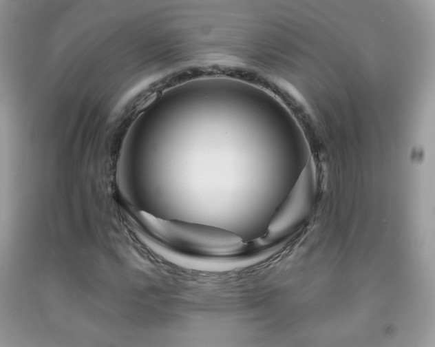 X0000092011112200709061526