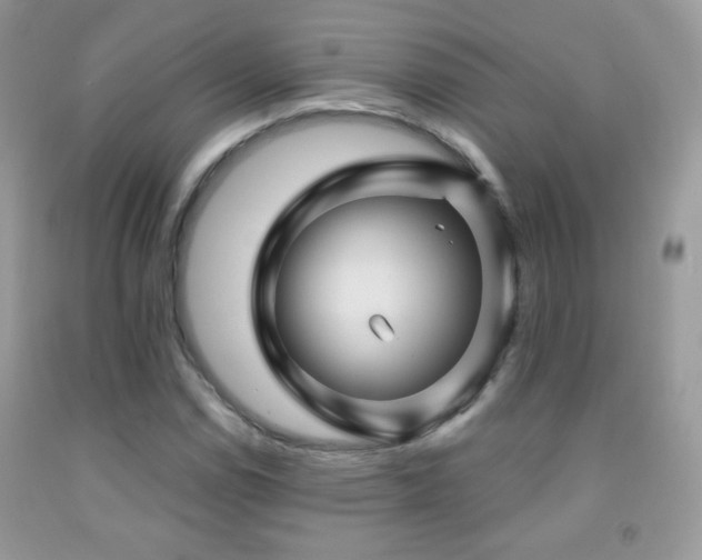 X0000092011114200709061526