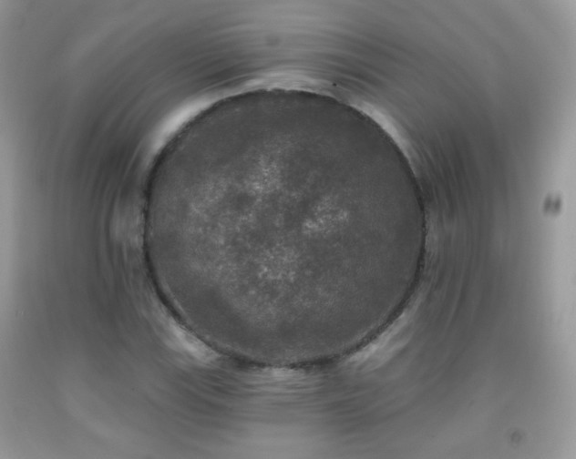 X0000092011115200709061526