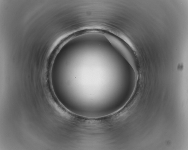 X0000092011116200709061526