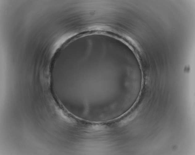 X0000092011117200709061527