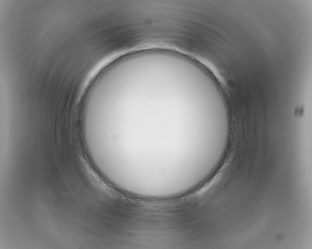 X0000092011118200709061527