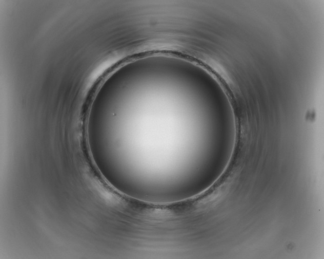 X0000092011119200709061527