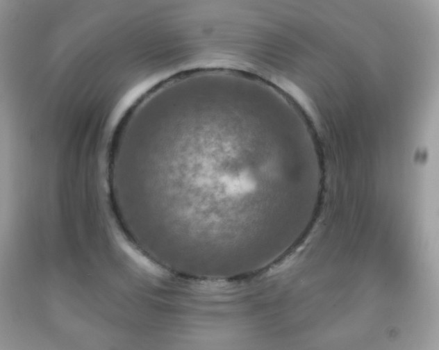 X0000092011120200709061527