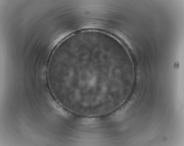 X0000092011121200709061527