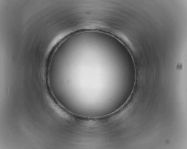 X0000092011122200709061527