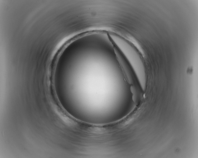 X0000092011124200709061527