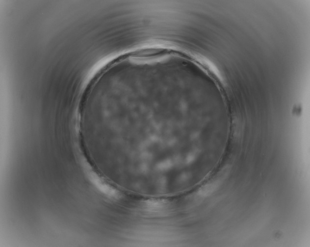 X0000092011125200709061527