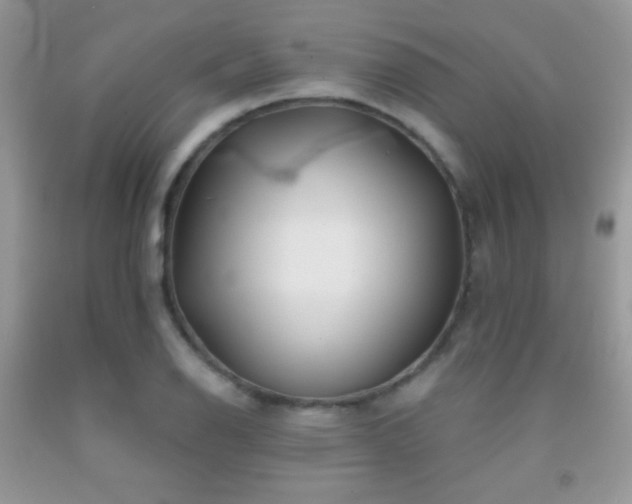 X0000092011126200709061527