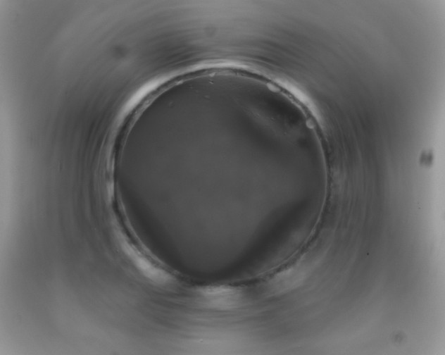 X0000092011127200709061527