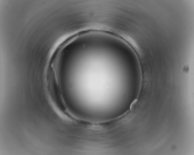 X0000092011128200709061527