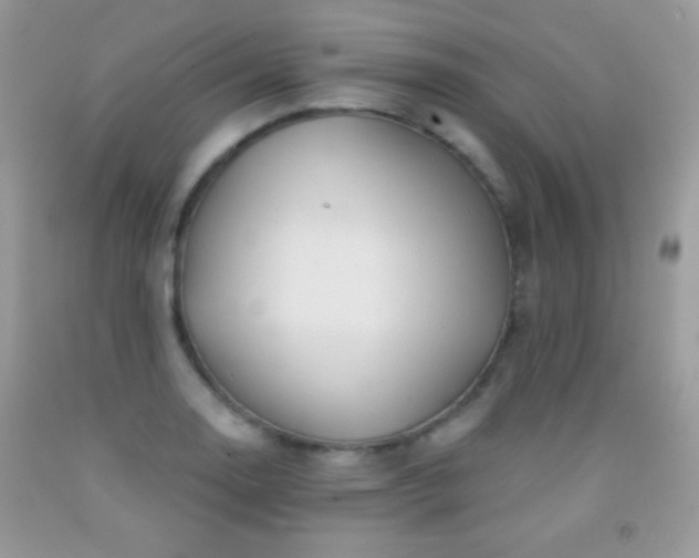 X0000092011130200709061527