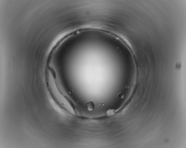 X0000092011131200709061527