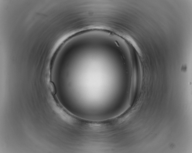 X0000092011132200709061527