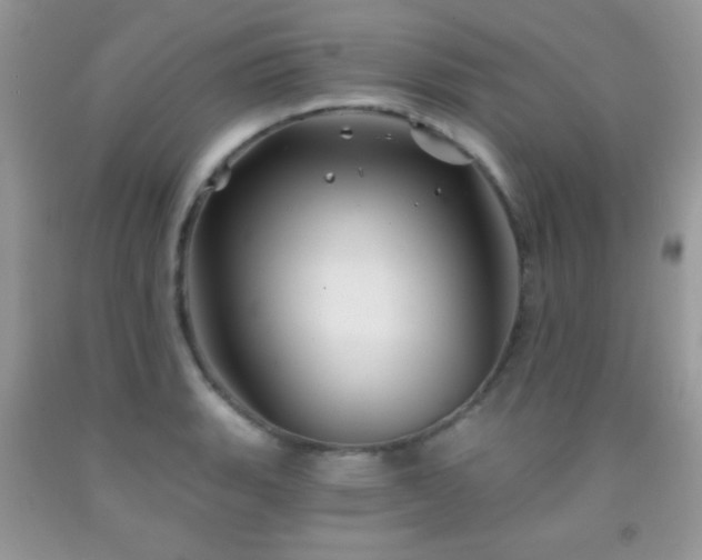 X0000092011135200709061527
