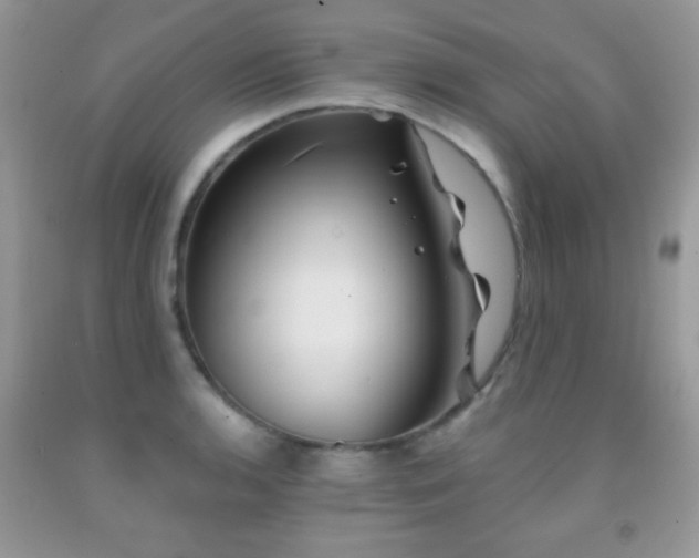 X0000092011136200709061527