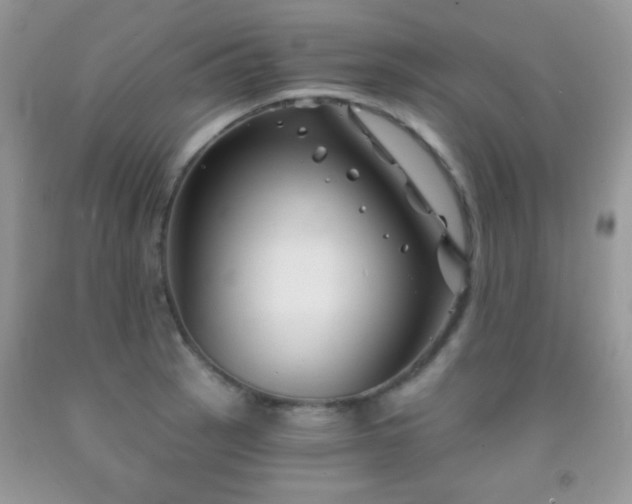 X0000092011137200709061527