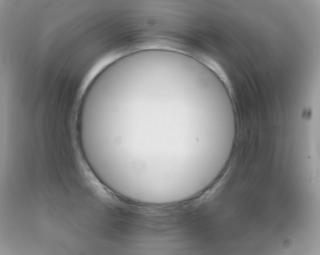 X0000092011138200709061527