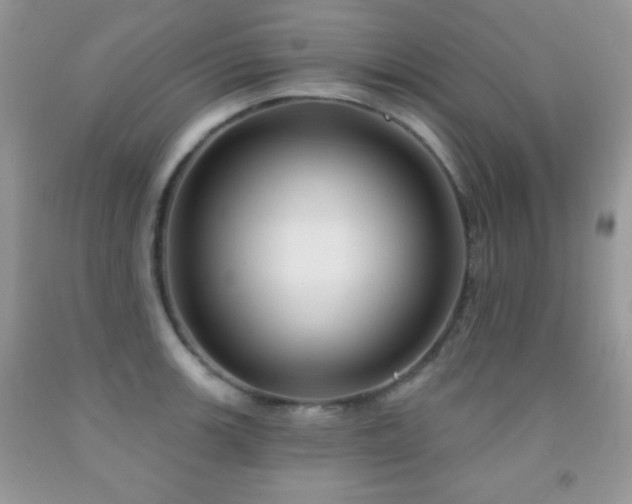 X0000092011139200709061527