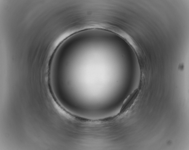X0000092011143200709061527