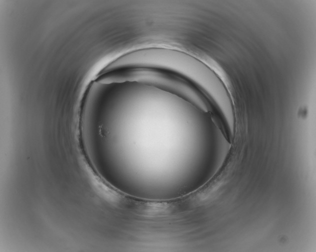X0000092011144200709061527
