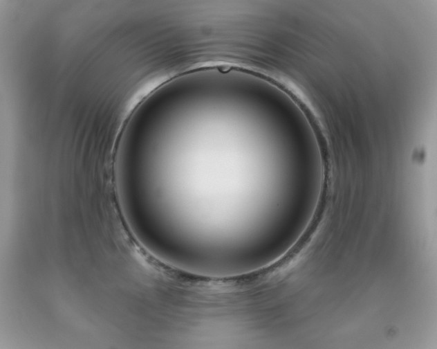 X0000092011145200709061527