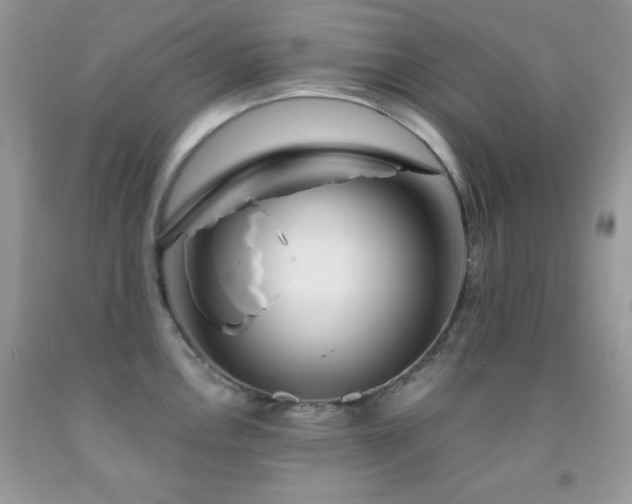 X0000092011146200709061527