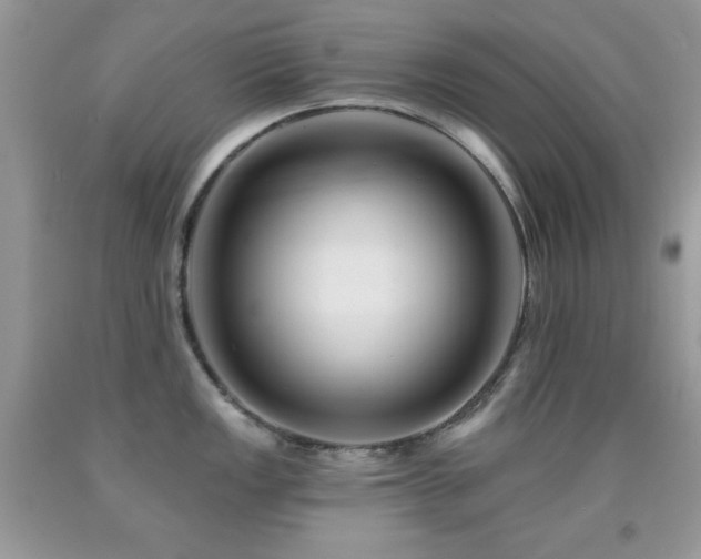 X0000092011149200709061527
