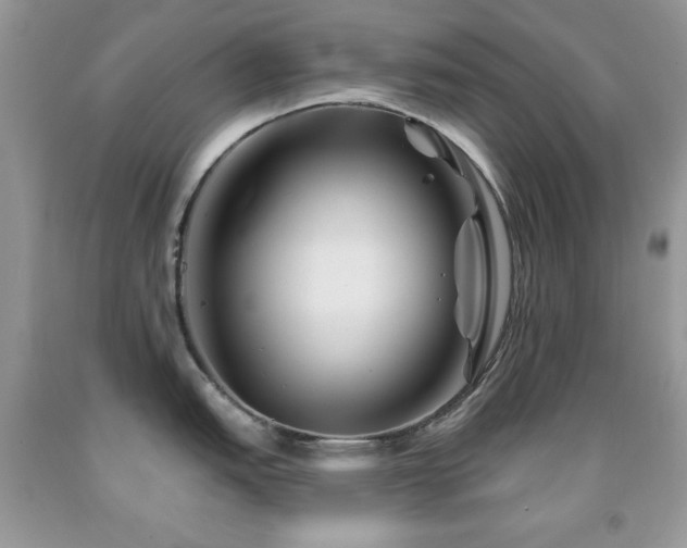 X0000092011151200709061527